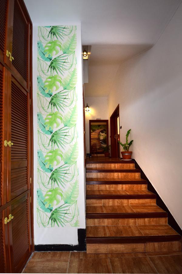 B&B Casa Armonia 산타크루스데 테네리페 외부 사진